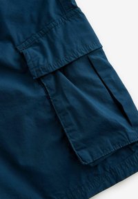 Next REGULAR FIT - Shorts - navy