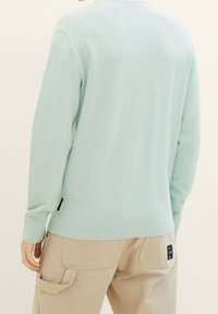 Person, der einen hellblauen strukturierten Pullover und beigen Cargo-Hosen mit aufgenähten Taschen trägt, steht vor einem einfarbigen Hintergrund, Rückansicht.
