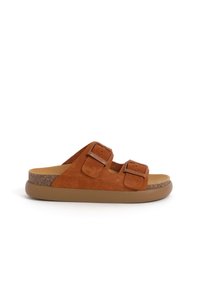 Scholl NOELLE CHUNKY - Pantofle - cognac