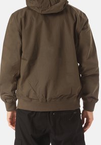 Carhartt WIP Trainingsjacke - green