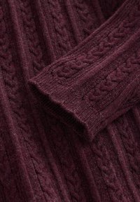 Next REGULAR FIT-ROLL NECK - Džemper - purple
