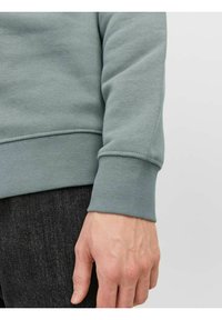 Jack & Jones JJESTAR CREW NECK - Mikina - sedona sage