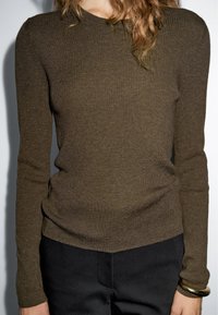 Massimo Dutti RIBBED CREW NECK - Maglione - dark brown