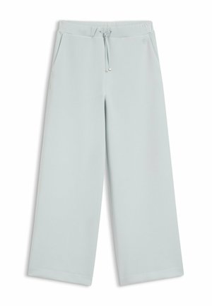 Pantaloni grigio chiaro a gamba larga con vita elastica, coulisse e tasche laterali su sfondo bianco.