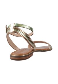 Sandali metallici oro e verdi con cinturini, suola in pelle piatta e cinturino alla caviglia. Texture liscia e design minimalista. Chiusura con fibbia semplice.