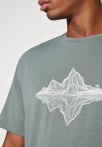 Helly Hansen SKOG GRAPHIC - Triko s potiskem - grey cactus