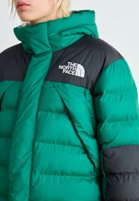 The North Face W LIMBARA INSULATED PARKA - Ziemas mētelis - evergreen