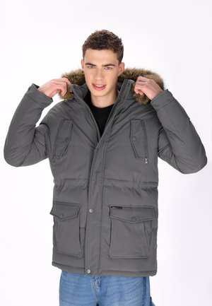 ARCTIC - Vinterjakker - grey