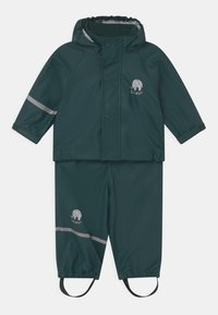 Ei valittu, pondorosa pine