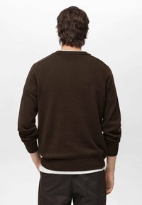 Brown knitted sweater with long sleeves and ribbed cuffs. Simple, crew neck design with a textured finish. Worn with dark pants.