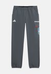 MINECRAFT PANTS UNISEX - Παντελόνι εξωτερικού χώρου - grey