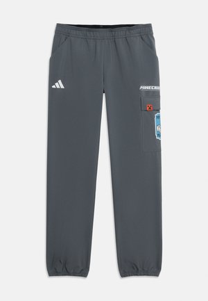 adidas Terrex, MINECRAFT PANT UNISEX - Pantalons outdoor - grey