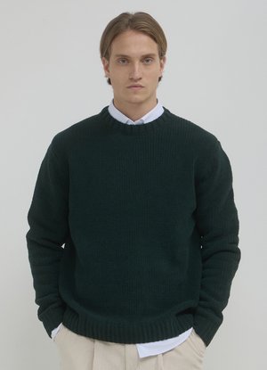 Calliope GIROCOLLO - Strickpullover - verde