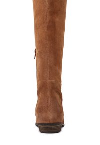 Botte haute en daim marron avec un design de couture subtil et un petit talon. Le détail de la fermeture éclair est situé sur le côté. Texture lisse.