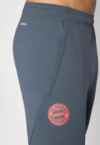 Atletske sive hlače s glatkom teksturom i elastičnim strukom. Imaju crveni logo FC Bayern München na lijevom bedru.