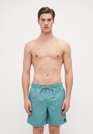 Shorts de bain teal avec une taille élastique, un cordon de serrage et des poches latérales. Fabriqués en tissu léger, avec un petit logo cousu sur la gauche.