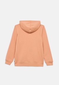 Φούτερ με κουκούλα σε ροδακινί απόχρωση, με απαλή υφή, μακριά μανίκια, κουκούλα με κορδόνια και ριμπ μανσέτες και τελείωμα. Χωρίς ορατά λογότυπα ή σχέδια.