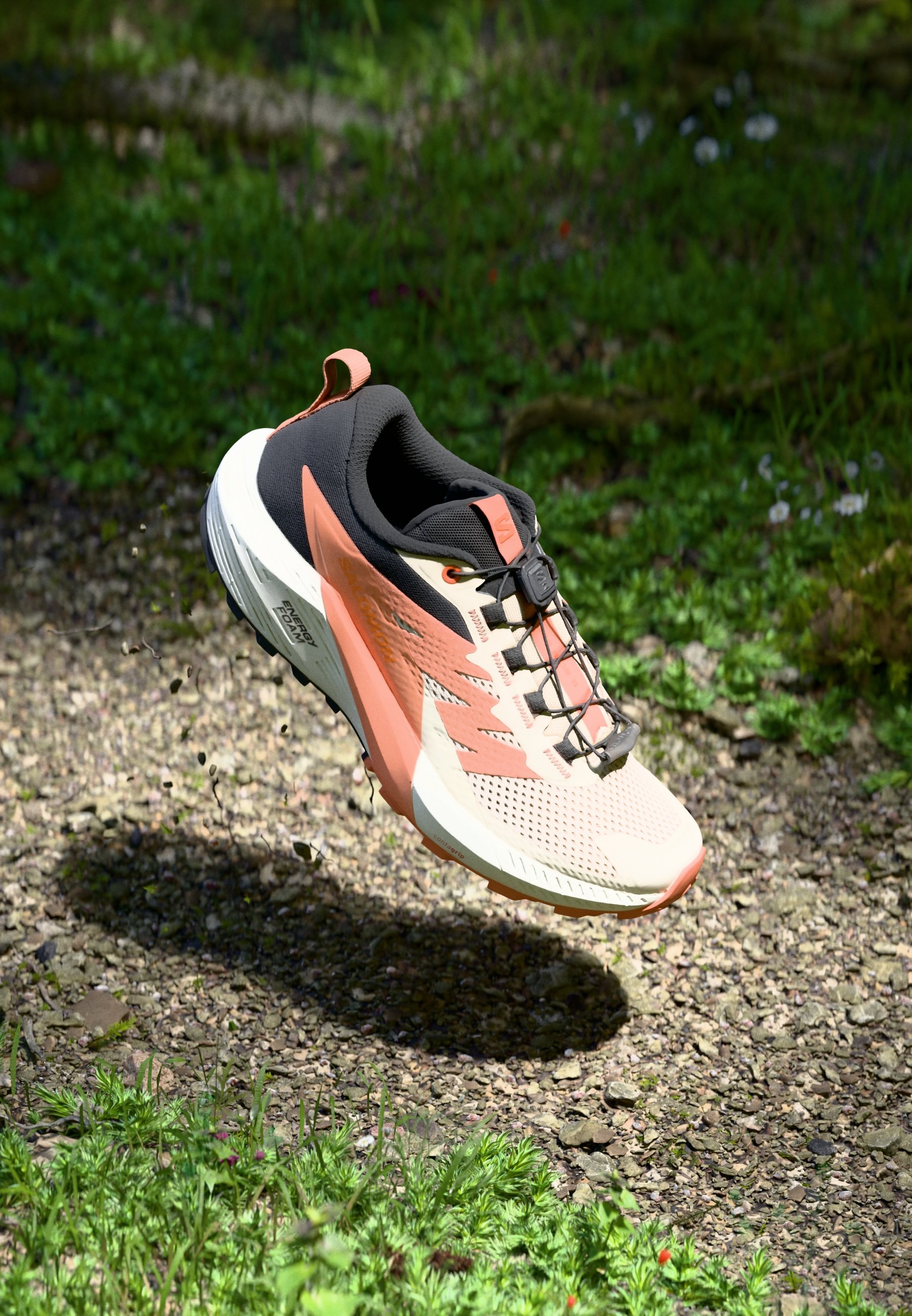 Salomon SENSE RIDE 5 - Chaussures de running - tender peach/fusion