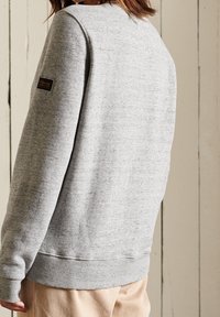 Superdry & Co Felpa - grey