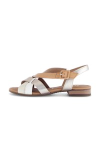 Unselected, braun multi