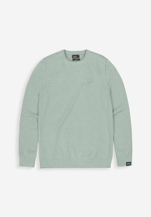 Lichtgroene sweatshirt van zacht materiaal, met een ronde halslijn, lange mouwen, geribbelde manchetten en een klein logo op de borst.