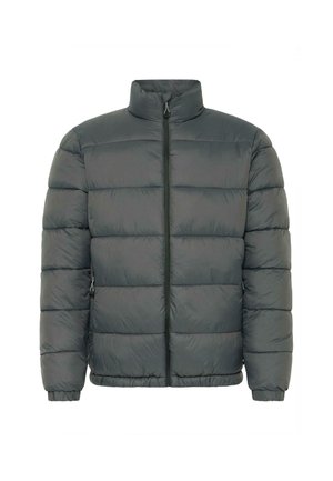 Gray puffer jacket with a high collar, front zipper, quilted texture, and elastic cuffs. Two side pockets with zippers.