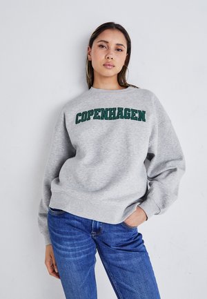 EMBROIDERY - Sweater - light grey melange