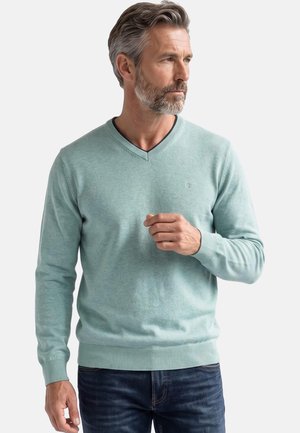 Mand med gråt hår og skæg iført en lyseblå V-hals sweater og mørke jeans, der kigger mod højre med hånden hævet nær brystet.