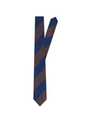 Cravatta a righe diagonali larghe blu navy e marrone stesa su uno sfondo bianco.