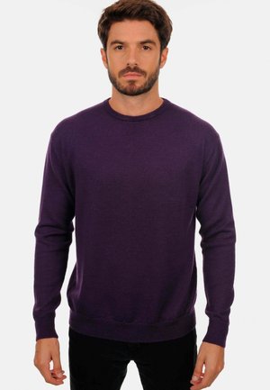 NESTOR - Pullover - purple