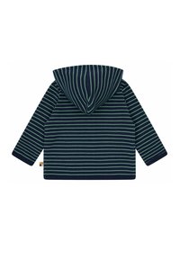 Gestreifter Kapuzenpulli in Marineblau und Grün, mit Kapuze und langen Ärmeln. Weicher Stoff mit gleichmäßigen horizontalen Streifen. Minimalistisches Design.