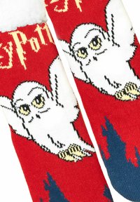 Calze rosse con una grafica di un gufo bianco con occhi gialli, dettagli neri e un motivo di bosco blu. Testo "Harry Potter" in oro.