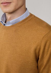 Brązowy sweter dzianinowy z okrągłym dekoltem, noszony na jasnoniebieskiej koszuli z kołnierzykiem. Materiał wydaje się miękki o gładkiej teksturze i równomiernym wzorze dzianiny.