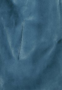 FUCHS SCHMITT Abrigo corto - blue
