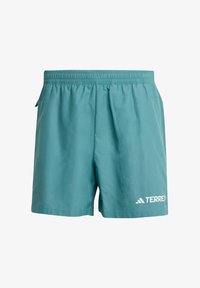 Seleccionado, preloved teal