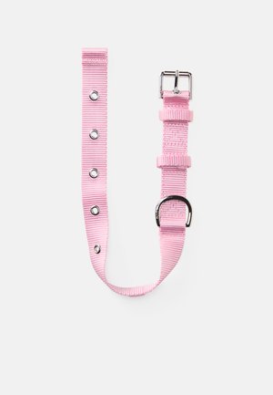 Adjustable pink nylon dog collar with metal buckle, D-ring, and multiple metal eyelets on a white background.