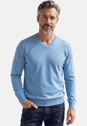 Mann mit grauen Haaren und Bart, der einen hellblauen V-Ausschnittpullover und dunkle Jeans trägt und mit einer Hand in der Tasche vor einem einfarbigen Hintergrund steht.