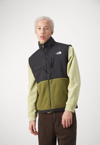 The North Face DENALI VEST - Liemenė - forest olive