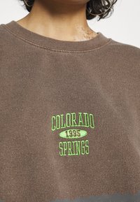BDG Urban Outfitters Sweatshirt - brown