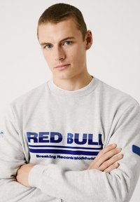 Sweat-shirt gris avec logo "RED BULL" navy et le texte "Breaking Records Worldwide". Présente un col rond et un tissu texturé.