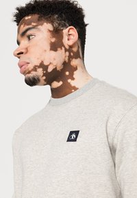 Lys grå sweatshirt med rund hals, som har et lite logo-patch i marineblått på brystet. Myk tekstur og avslappet passform.