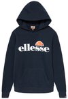 JERO - Felpa con cappuccio - navy
