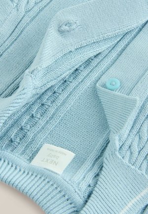 Light blue knitted cardigan featuring a cable pattern, v-neck, and two buttons. Includes a label with "NEXT" and "Made in India."