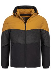 INURBAN - Veste d'hiver - bistre