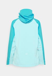 Veste bleu clair avec manches et capuche bleu plus foncé, vue de dos sur fond blanc.