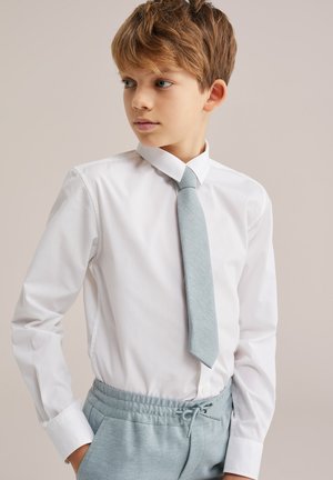 Poiss helepruuni juustega, kandes valget triiksärki, helehallit lipsu ja sobivaid nööriga pükse, vaatamas küljele neutraalse tausta ees.