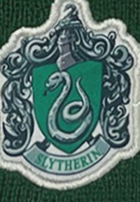 Naszywka Slytherin przedstawia zieloną tarczę z srebrnym wężem i ozdobnymi srebrnymi krawędziami. Na białym banerze znajduje się napis "Slytherin".