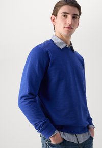 Felpa blu con scollatura a girocollo, tessuto a trama e polsini a costine. Presenta una camicia con colletto a righe bianche e blu sotto.