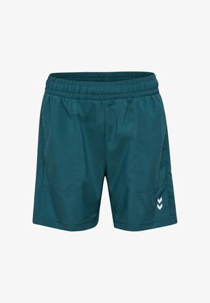 Türkisfarbene Sportshorts mit elastischem Bund, zwei Seitentaschen und weißem Chevron-Detail an der unteren Seite. Glatter, leichter Stoff.