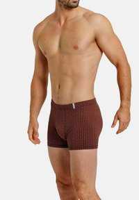 HAASIS Bodywear 1919 OHNE EINGRIFF 2ER PACK - Boxer Briefs - schwarz print